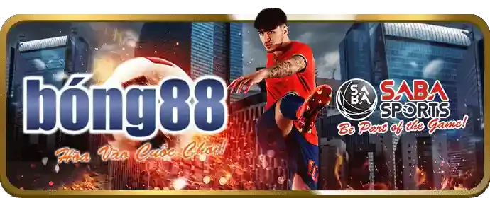 Biểu tượng giấy phép hoạt động hợp pháp